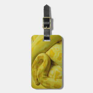Yellow Burmese Python Luggage Tag