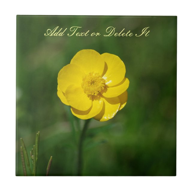 Yellow Buttercup Tile (Front)