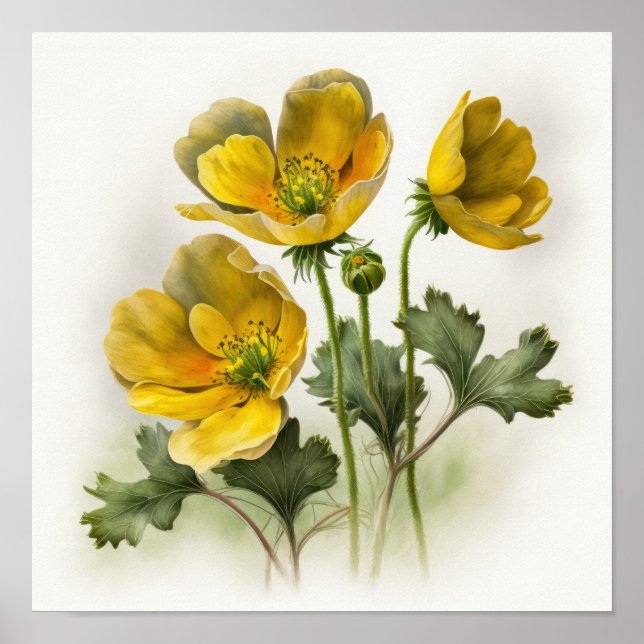 Yellow Buttercups Flower Art Print Poster (Front)