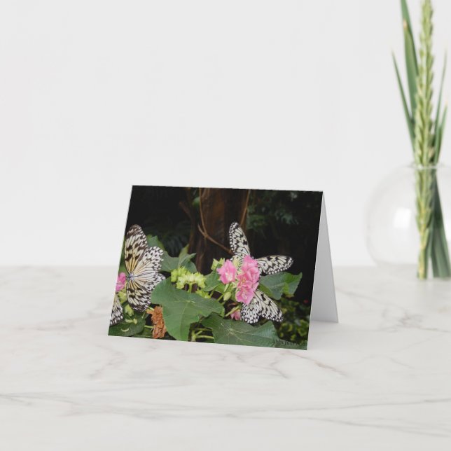 Yellow Butterflies on Tropical Leaves with Flowers Holiday Card (Front)