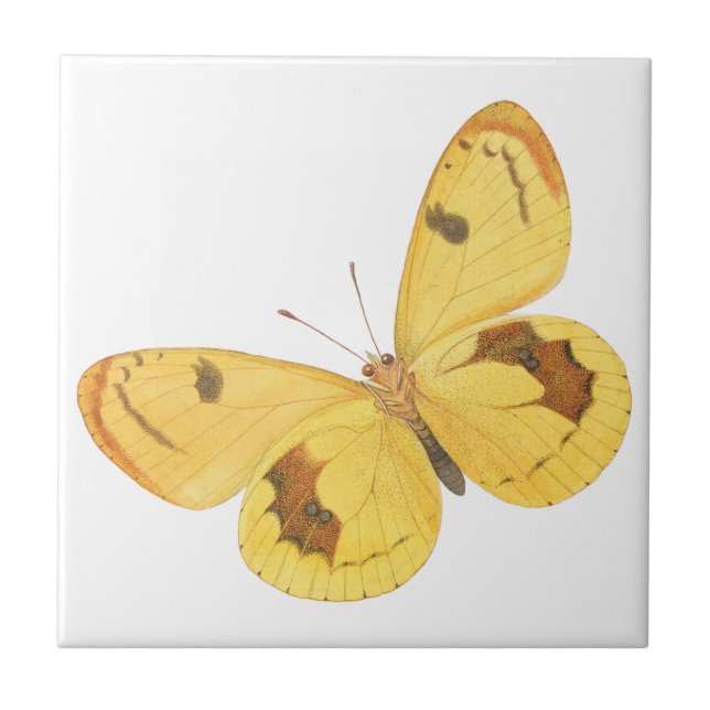 Yellow Butterflies - Vintage Fine Art Ceramic Tile (Front)
