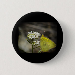 Yellow Butterfly 2 Inch Round Button