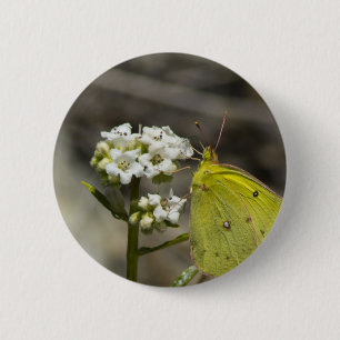 Yellow Butterfly 2 Inch Round Button