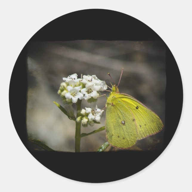 Yellow Butterfly Classic Round Sticker (Front)