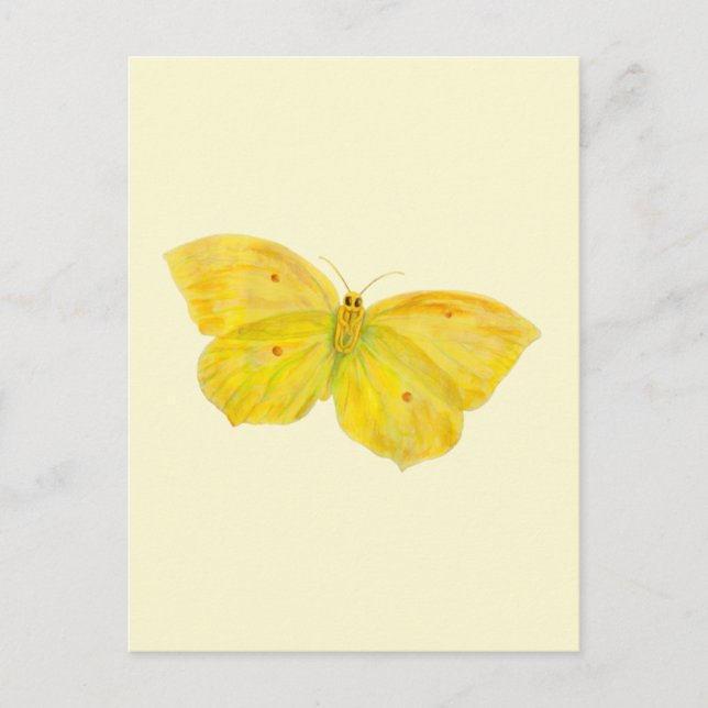 Yellow Butterfly Common Brimstone flying   Postcard (Front)