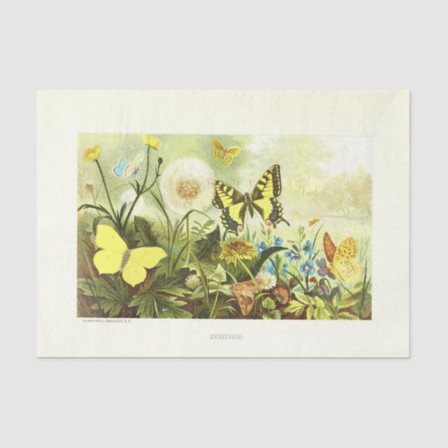 Yellow Butterfly Floral Ephemera Decoupage French Tissue Paper (Front)