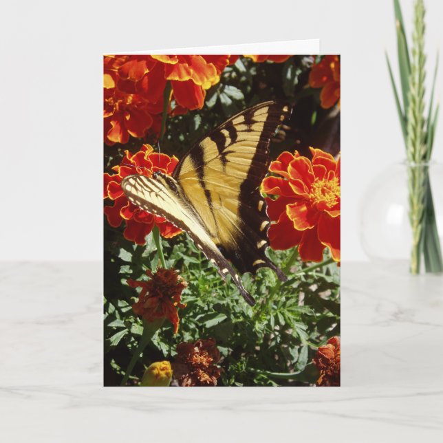 "Yellow Butterfly" Get Well Card (Front)