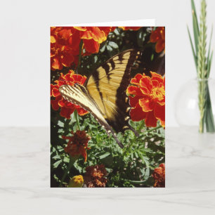 "Yellow Butterfly" Get Well Card