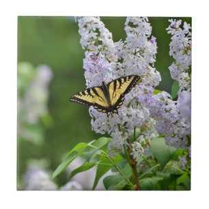 Yellow Butterfly on Lilac Tree Tile