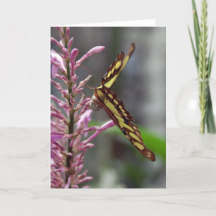Yellow Butterfly on Pink Flower Card