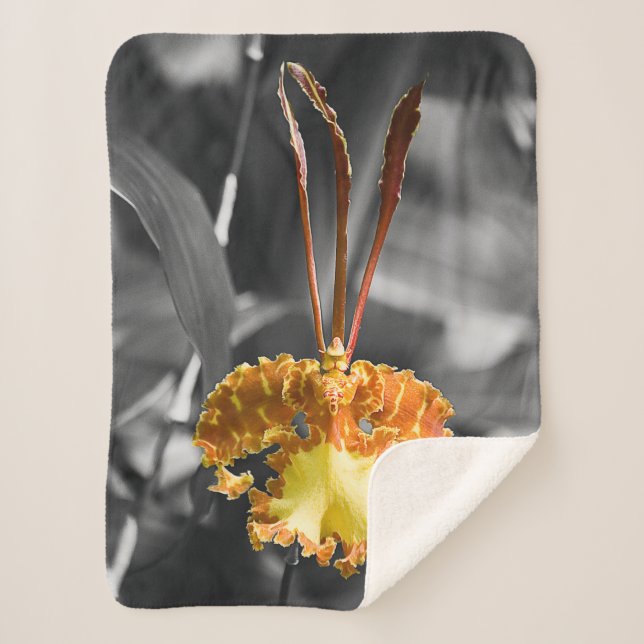 Yellow Butterfly Orchid Flower Sherpa Blanket (Front)