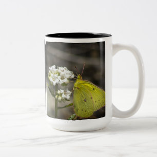 Yellow Butterfly Two-Tone Coffee Mug