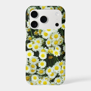 Yellow Button Daisies On A Bush,