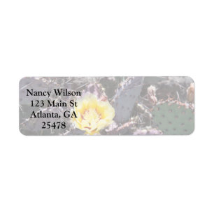 Yellow cactus flower in april