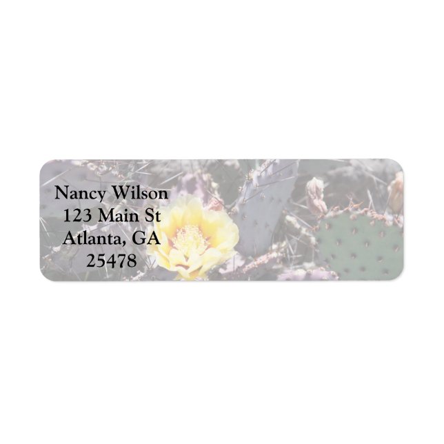 Yellow cactus flower in april (Front)