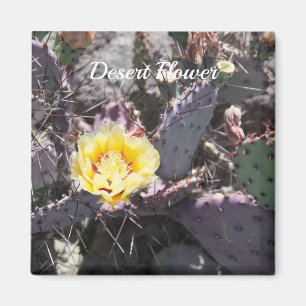 Yellow cactus flower in spring magnet
