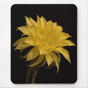 Yellow cactus flower mouse pad