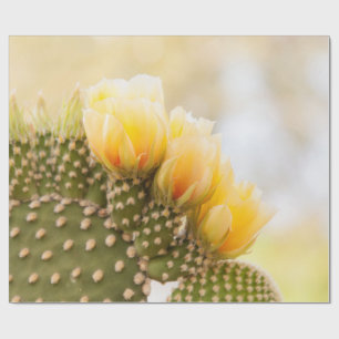 Yellow cactus flowers as they bloom in  Arizona Wrapping Paper