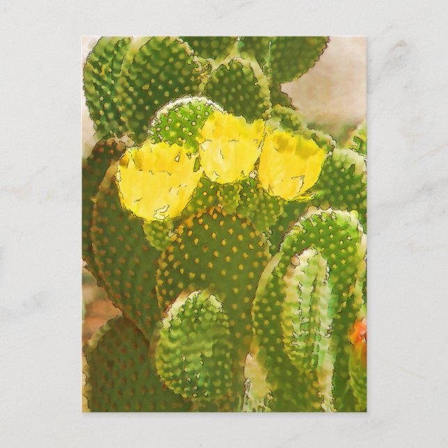 YELLOW CACTUS FLOWERS POSTCARD (Front)