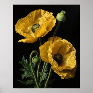 Yellow California Poppy Flowers Art Print Poster