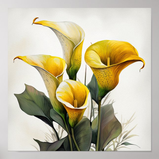 Yellow Calla Lilies Lily Flower Art Print Poster (Front)