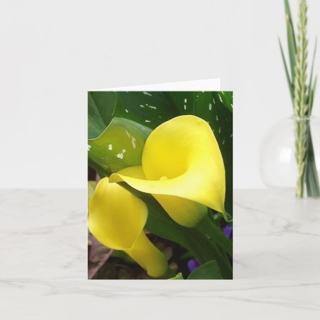 Yellow Calla Lilies Note Card (Front)