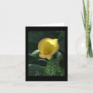 Yellow Calla Lily Blank Notecard