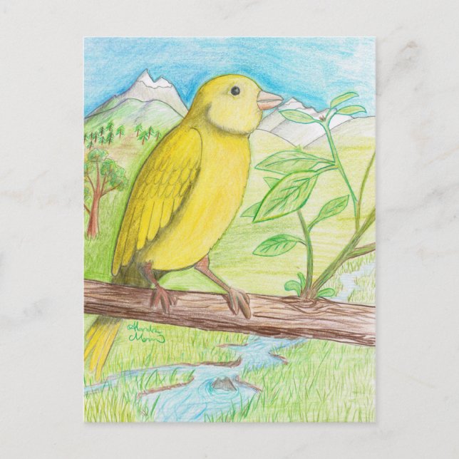 Yellow Canary in the Meadow Postcard (Front)