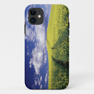 Yellow canola in Whitman County Washington state iPhone 11 Case