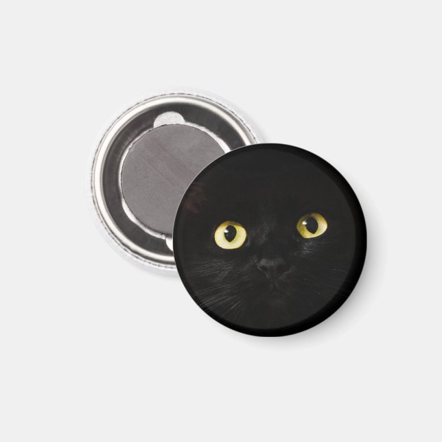Yellow Cat Eyes, Black Cat, Black Background Magnet (Front/Back)