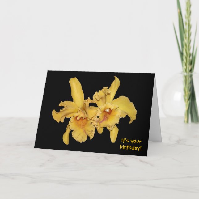 Yellow Cattleya Orchid Birthday Card (Front)