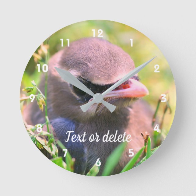 Yellow Cedar Waxwing Fledgling Bird   Round Clock (Front)