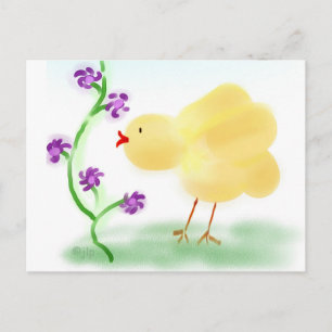 Yellow Chick Postcard