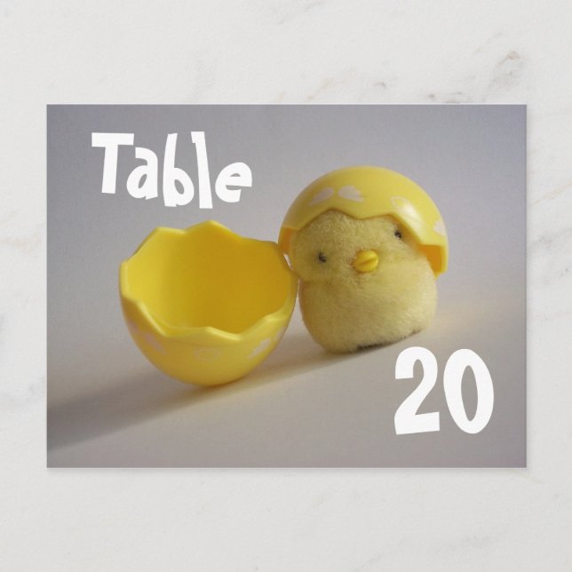 Yellow Chick Table Number Postcard (Front)