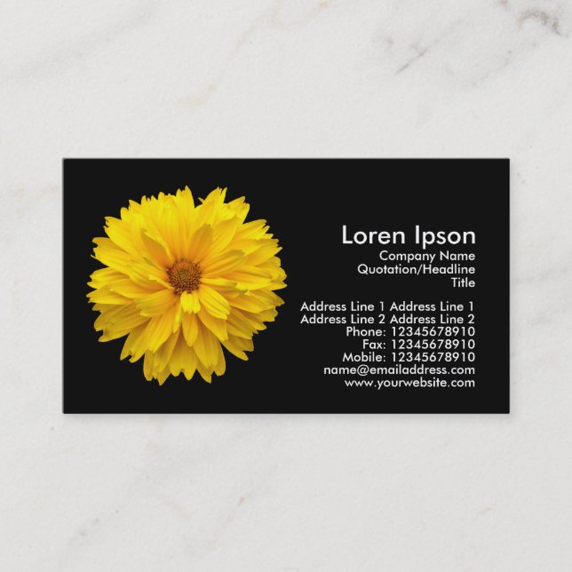 Yellow Chrysanthemum - Black Business Card (Front)
