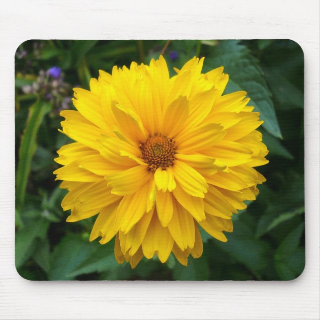 Yellow Chrysanthemum Mouse Pad (Front)