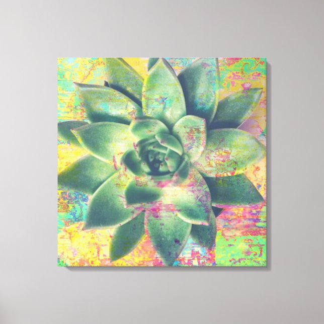 Yellow Colour Patch Succulent Canvas Art (Front)