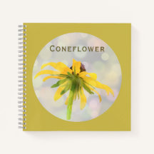 Yellow Coneflower on Old Gold