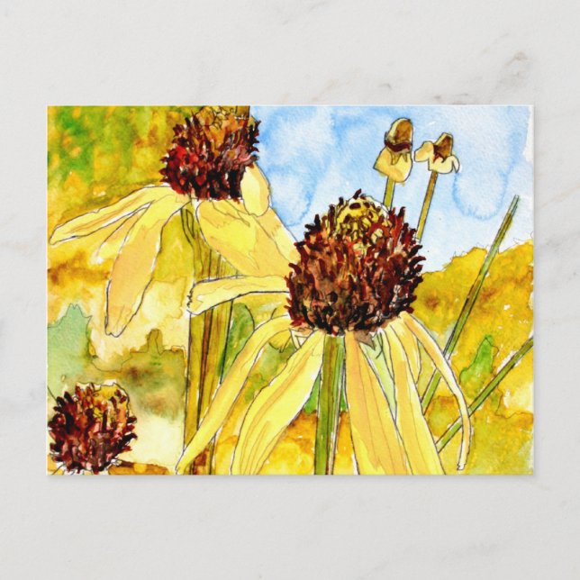 yellow coneflower post cards (Front)