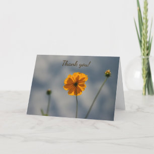Yellow Coreopsis Thank You Card