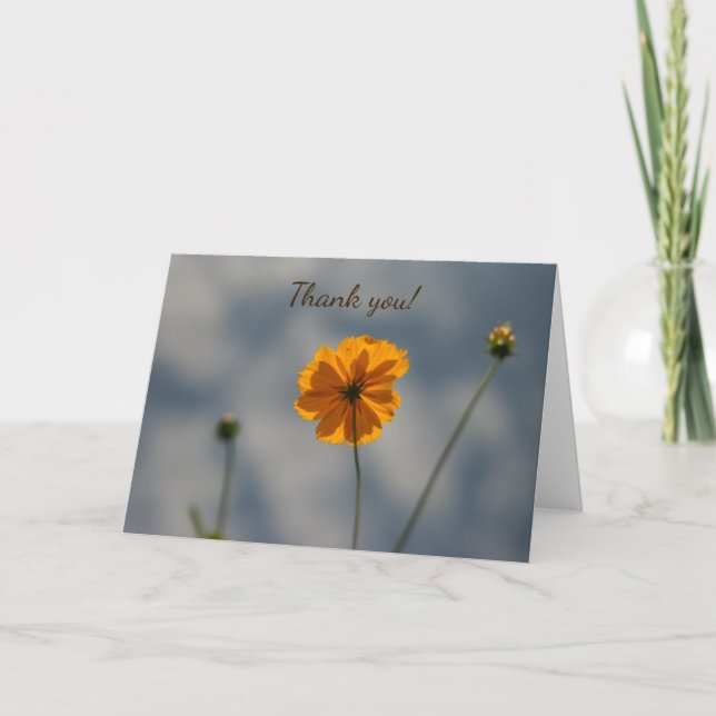 Yellow Coreopsis Thank You Card (Front)