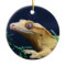 Yellow Crested Gecko Resting
