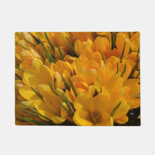 Yellow Crocus flavus - Golden Yellow Flowers  Doormat