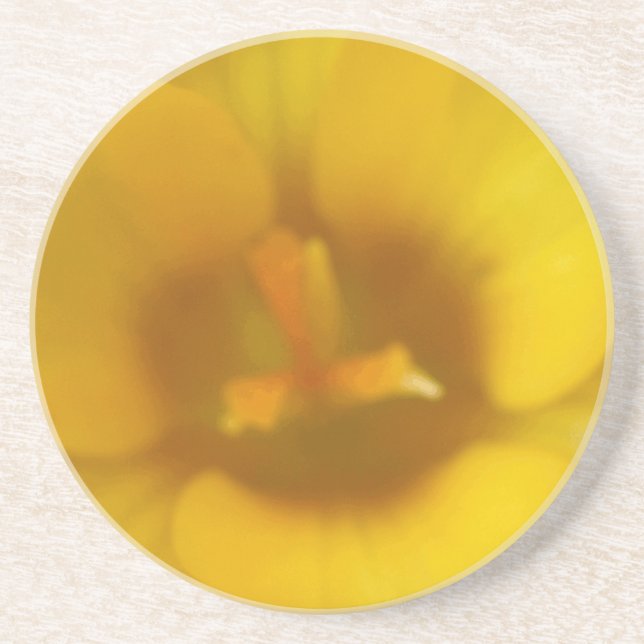 Yellow Crocus Flower Coasters (Front)