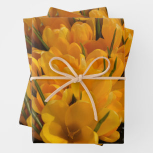 Yellow Crocuses - Happy Floral  Heralds of Spring Wrapping Paper Sheet