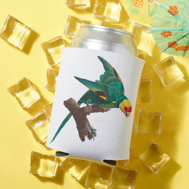 Yellow-crowned parakeet Parrot Can Cooler (In Situ Summer)