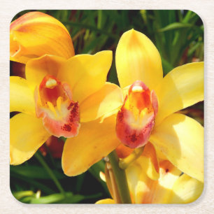 Yellow Cymbidium Orchid Paper Coaster