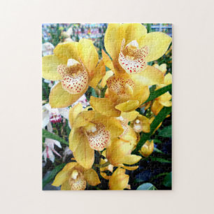 Yellow Cymbidium Orchids Jigsaw Puzzle