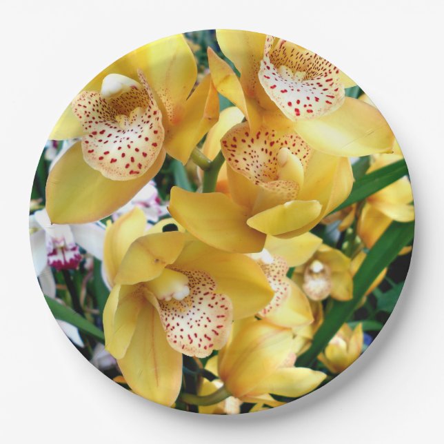 Yellow Cymbidium Orchids Paper Plate (Front)