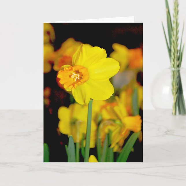 Yellow Daffodil Card (Front)